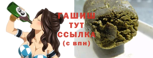 спиды Богородицк