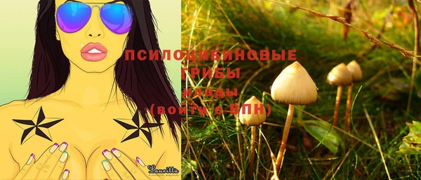 прущая мука Беломорск