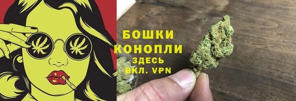 гидра Белокуриха