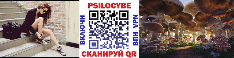 Галлюциногенные грибы прущие грибы  Гудермес 