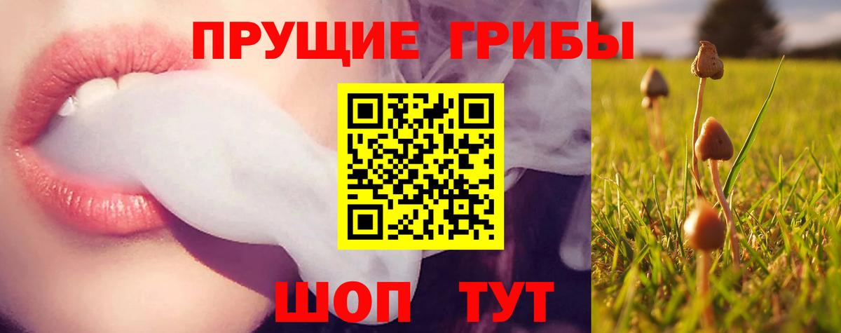 Псилоцибиновые грибы GOLDEN TEACHER  где продают   Гудермес  Вход с VPN 