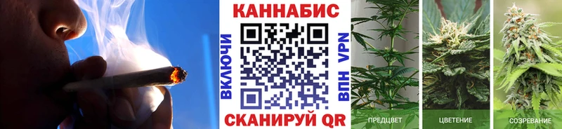 Марихуана гибрид  Гудермес 